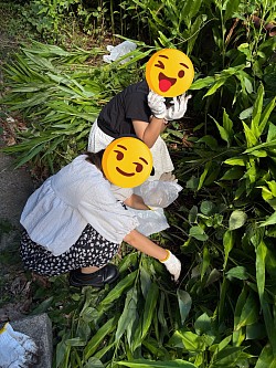 台所の裏に生えているミョウガを初収穫体験中！体験は何でもお勉強です💪