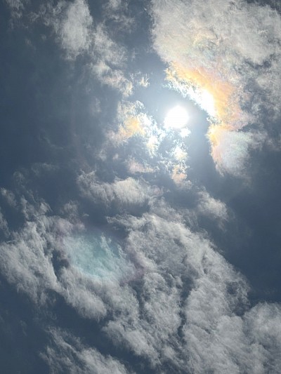 午前中は曇っていたのに…晴れてきました☀️